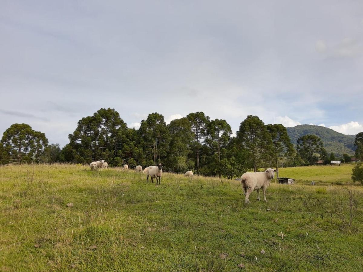 Fazenda Tamandua Casa De Campo - Cabana Coragem Βίλα Rio Rufino Εξωτερικό φωτογραφία